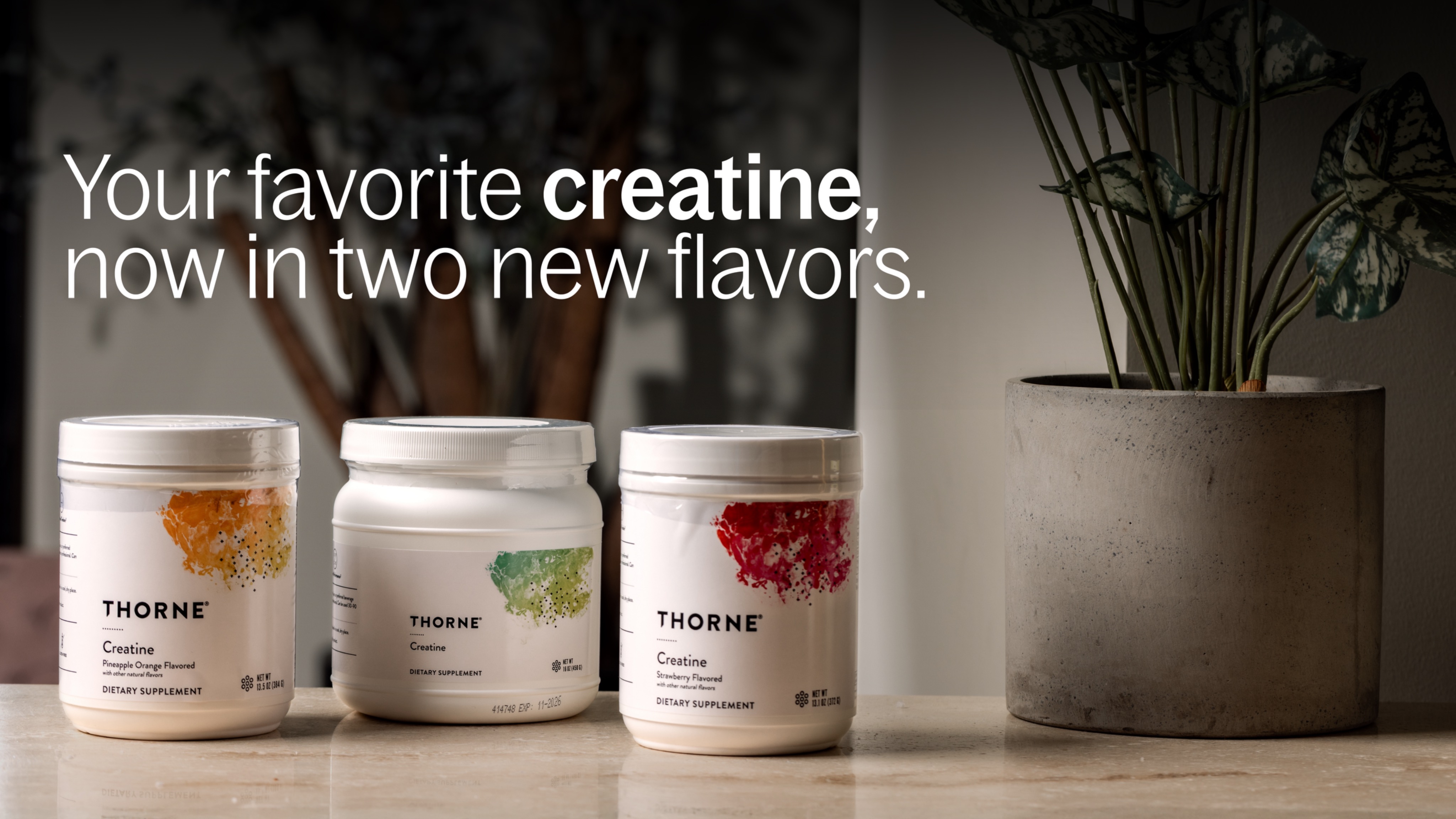 Creatine Flavors