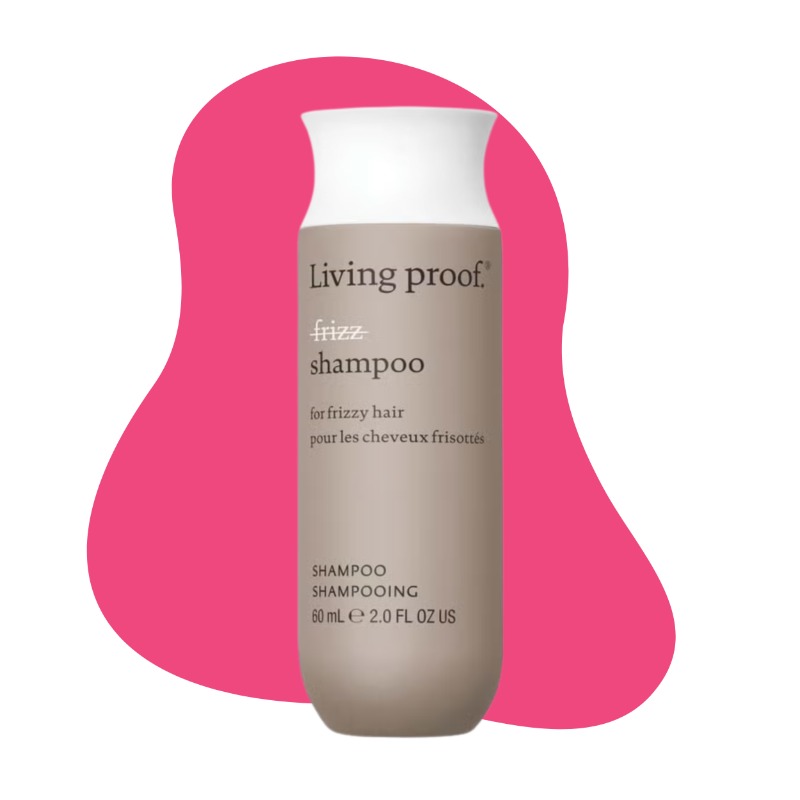 No Frizz Shampoo 1