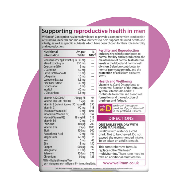 Wellman Conception 2