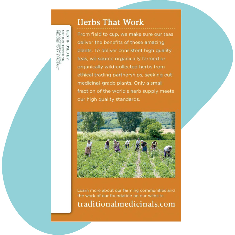 Organic Gas Relief Chamomile Mint Tea 5