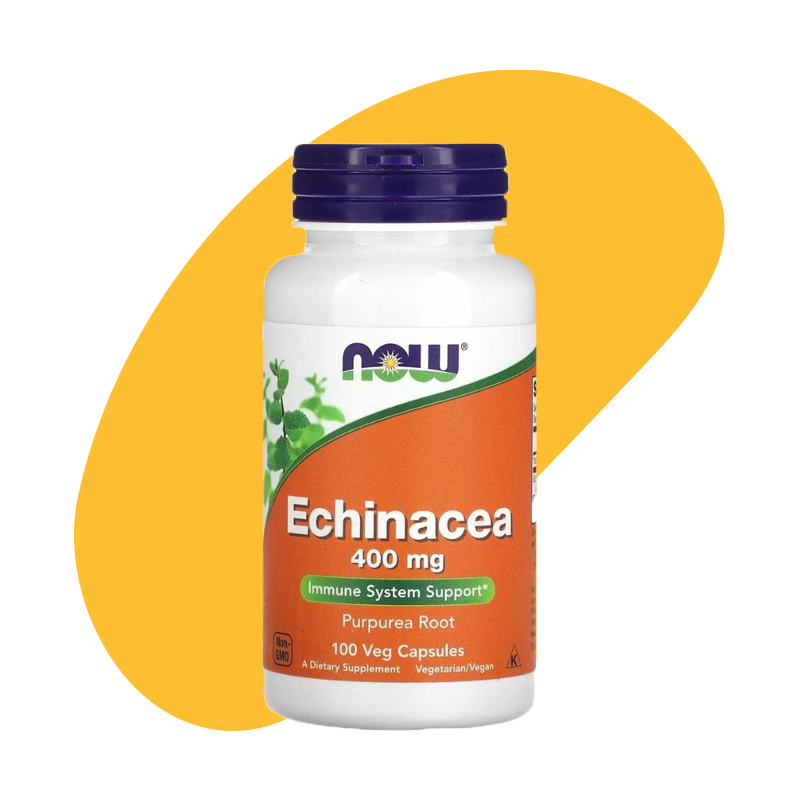 Echinacea 1