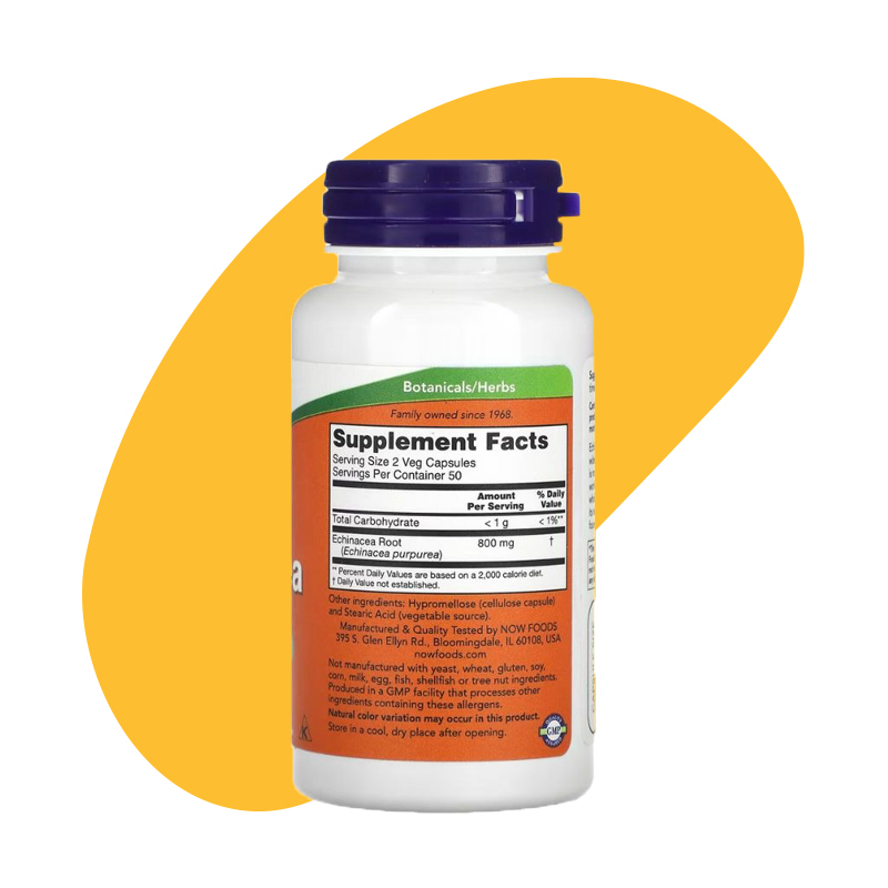 Echinacea 2