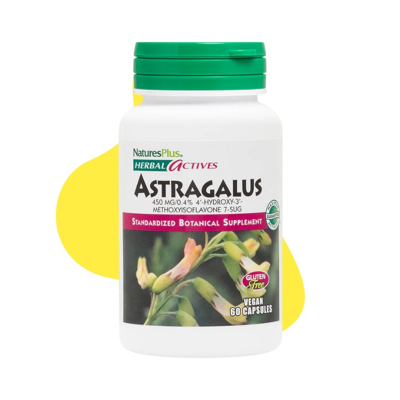 Herbal Actives Astragalus 1