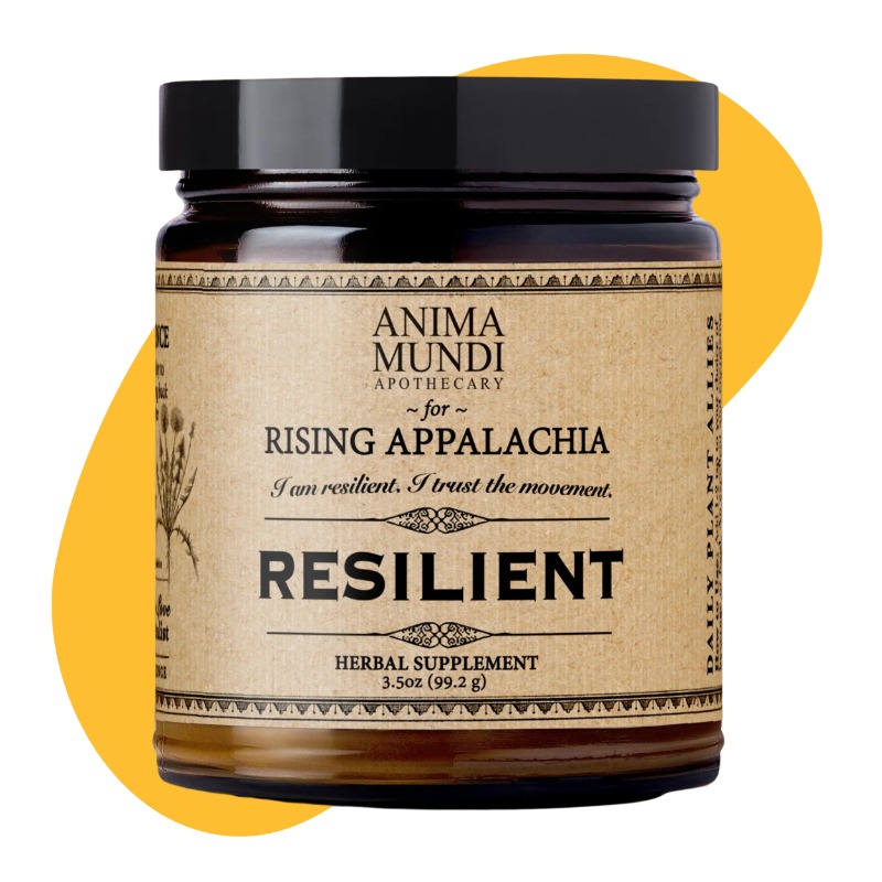 RESILIENT Powder | Adaptogens + Cacao Powder, 3.5 oz 3