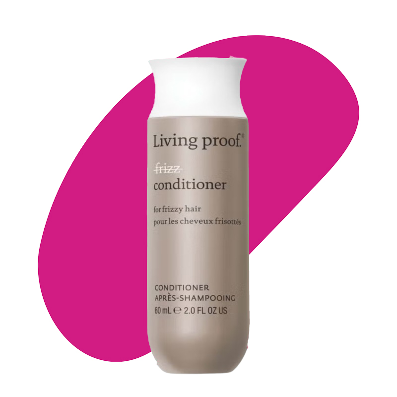 No Frizz Conditioner 1