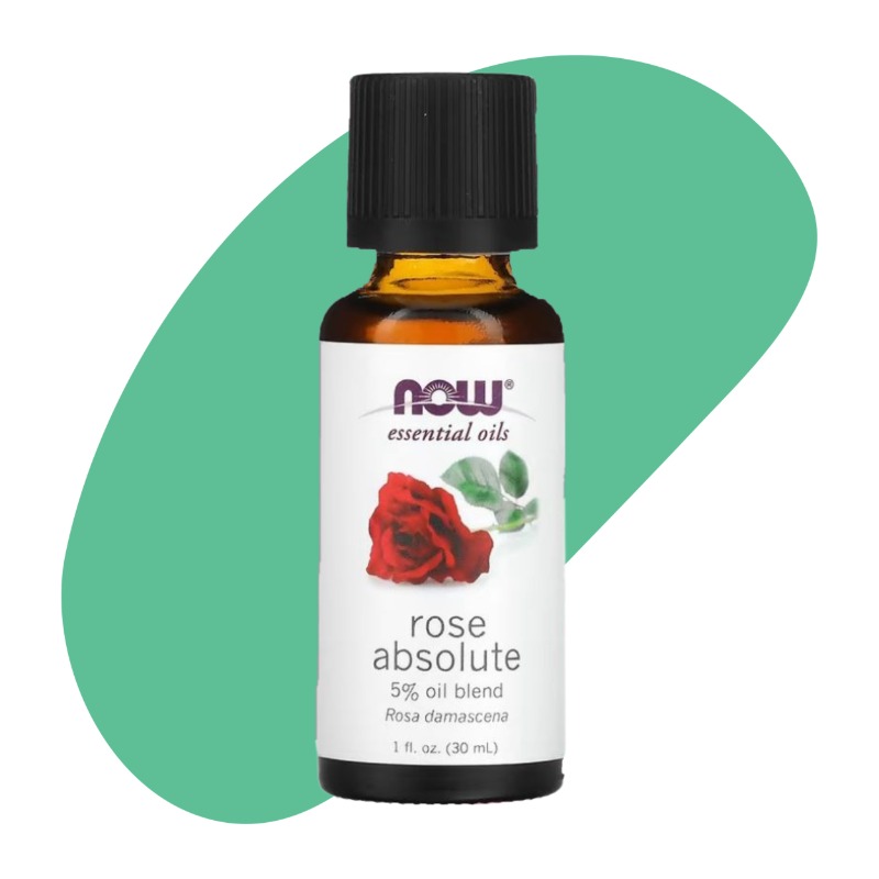Rose Absolute 1