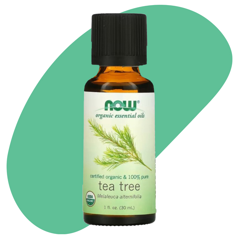 now kuwait Organic Tea