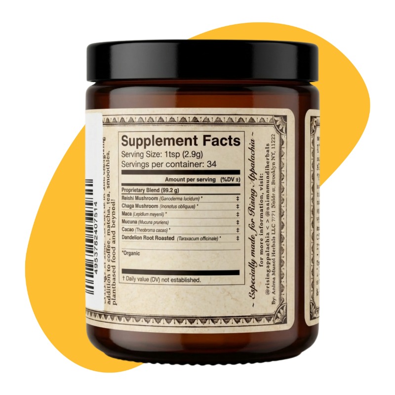 RESILIENT Powder | Adaptogens + Cacao Powder, 3.5 oz 4