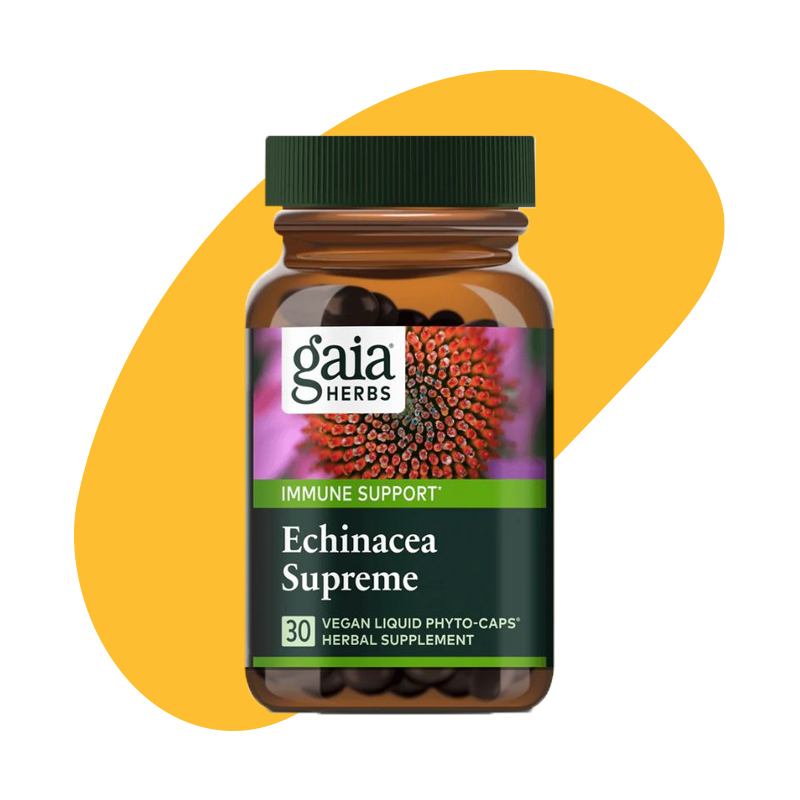 Echinacea Supreme 1
