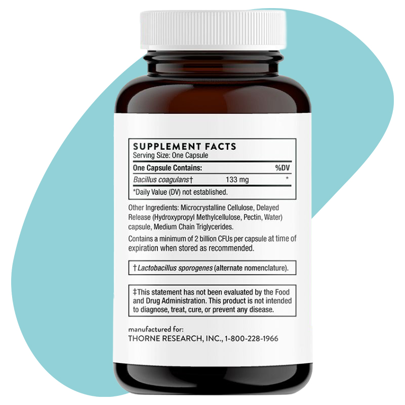 Bacillus Coagulans 2