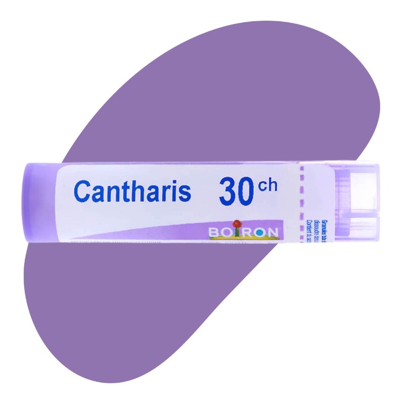 Cantharis, 30 CH 1