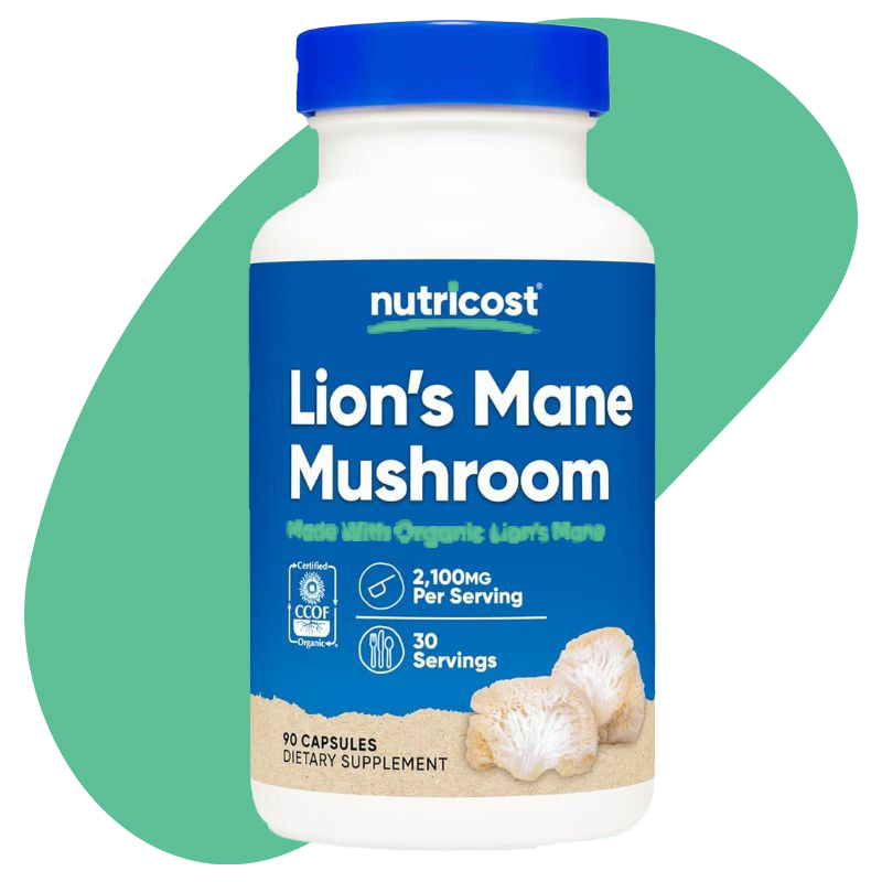 Lion's Mane Mushroom 1